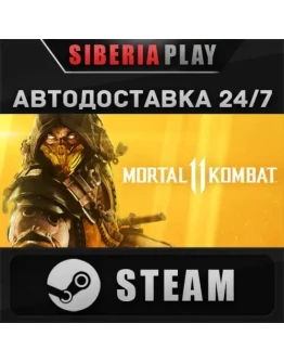 Mortal Kombat 11 STEAM АВТО RU/UA/KZ/СНГ