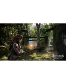 Horizon Forbidden West PS4/PS5 ТУРЦИЯ