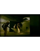 Inside The Backrooms STEAM АВТО RU/UA/KZ/СНГ