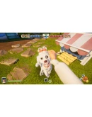 Neighbors: Suburban Warfare * STEAM РОССИЯ