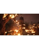 Black Myth Wukong PS5 П2/П3