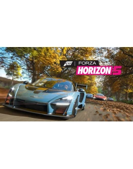 Forza horizon 5 ps5 аренда от 10 дней П3-активация