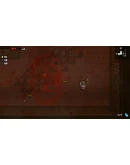 The Binding of Isaac: Afterbirth DLC STEAM АВТО