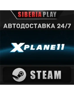 X-Plane 11 STEAM АВТО RU/UA/KZ/СНГ