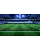 Charrua Soccer - Pro Edition (Steam key / РФ+Весь Мир)