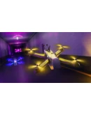 The Drone Racing League Simulator STEAM RU/UA/KZ/СНГ