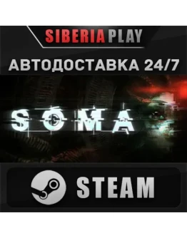 SOMA STEAM АВТО RU/UA/KZ/СНГ