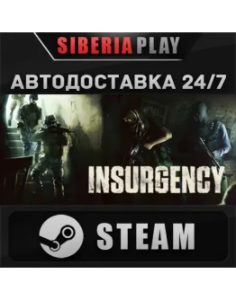 Insurgency STEAM АВТО RU/UA/KZ/СНГ