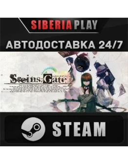 STEINSGATE STEAM АВТО RU/UA/KZ/СНГ