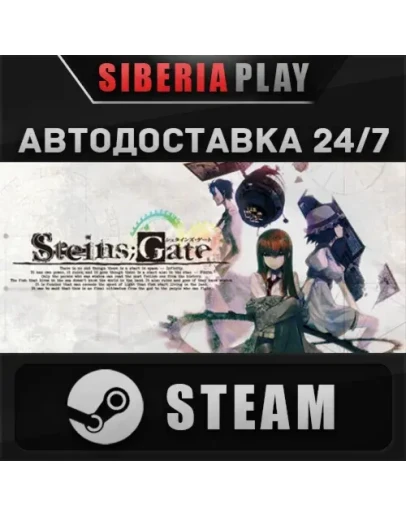 STEINSGATE STEAM АВТО RU/UA/KZ/СНГ
