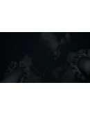 Visage STEAM АВТО RU/UA/KZ/СНГ