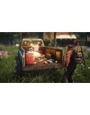 Survive the Nights STEAM АВТО RU/UA/KZ/СНГ