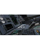 X-Plane 12 STEAM АВТО RU/UA/KZ/СНГ