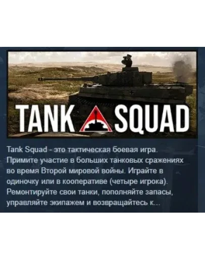 Tank Squad АВТОДОСТАВКА STEAM РОССИЯ