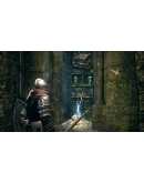 DARK SOULS : Prepare To Die Edition (Steam M RU/ CIS)