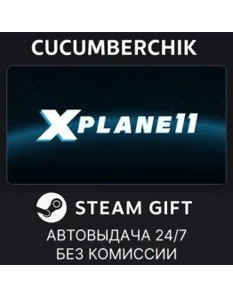 X-Plane 11STEAM GIFT AUTORU+МИР