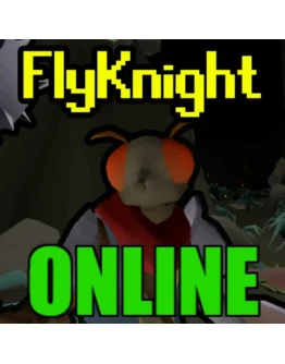 FLYKNIGHT ОНЛАЙНSTEAM АККАУНТ + ИГРЫ