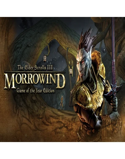 The Elder Scrolls III: MorrowindEPIC GAMES TR