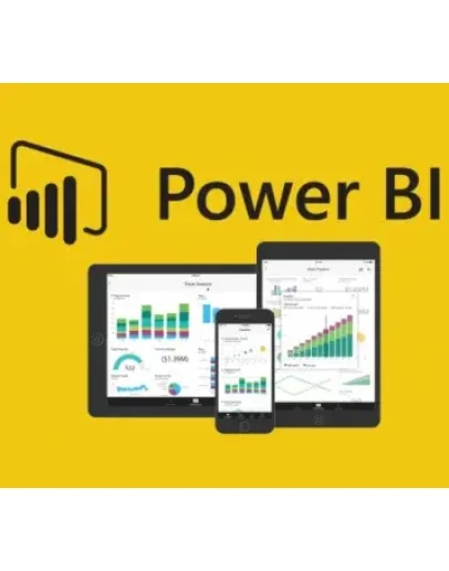 Power Bi Pro Account 2 года