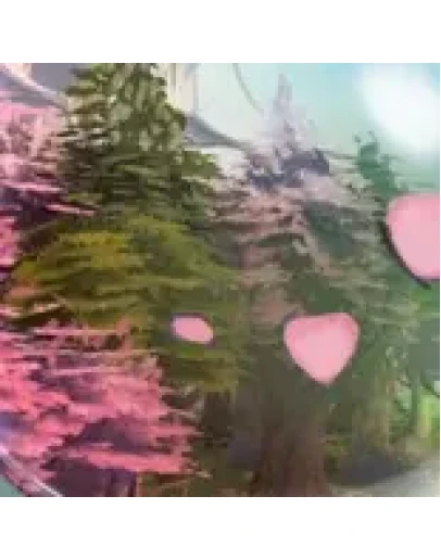 ПОГОДА Weather Spring ОТПРАВКА ТРЕЙДОМ