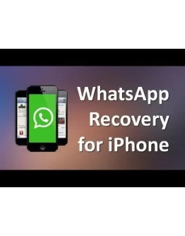 Coolmuster iPhone WhatsApp Recovery лицензия ключ