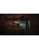 Way of the Hunter - Remington Firearms Pack DLC STEAM