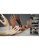 HAELE 3D - Пози рук Pro - Референсы для рисования STEAM