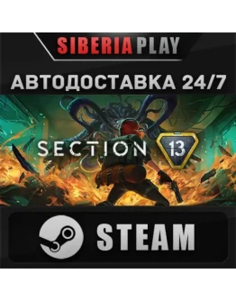 Section 13 STEAM АВТО RU/UA/KZ/СНГ