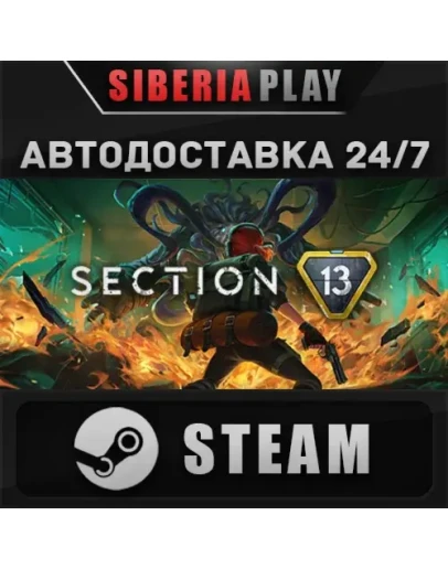 Section 13 STEAM АВТО RU/UA/KZ/СНГ