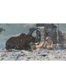 ARK Animated Series 109-Costumes Pack XBOX Ключ