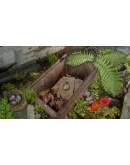 TIME TRAP: HIDDEN OBJECTS REMASTERED XBOX + PC (WIN) КЛ