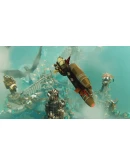 BULWARK: FALCONEER CHRONICLES ORIGINS BUNDLE XBOX + PC