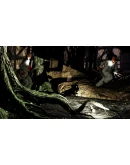 Pacify and Emily Horror Bundle XBOX XS ONE Ключ