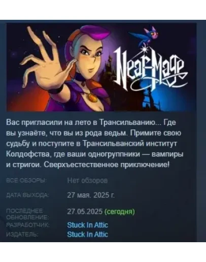 Near-Mage АВТОДОСТАВКА STEAM РОССИЯ