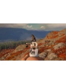 theHunter: Call of the Wild - High Caliber Weapon Pack