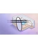 Reminiscence in the Night Xbox OneXS активация