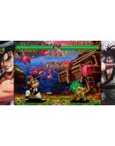 SAMURAI SHODOWN NEOGEO COLLECTION Xbox активация