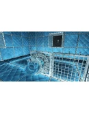 Neverout Xbox One &amp Xbox Series XS активация