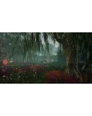 Nephise: Ascension Xbox OneXS активация