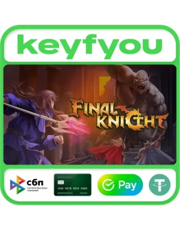 FINAL KNIGHT / STEAM GLOBAL КЛЮЧ