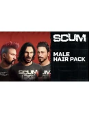 SCUM Man Hair Deluxe 1 DLC STEAM АВТО RU/UA/KZ/СНГ