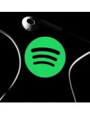 1/3/6/12 SPOTIFY PREMIUM ИНДИВИДУАЛЬНЫЙ/ДУЭТ/СЕМЕЙНЫЙ