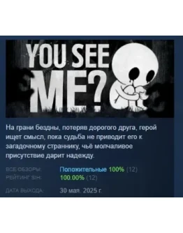 You see me? АВТОДОСТАВКА STEAM РОССИЯ