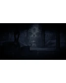 You see me? АВТОДОСТАВКА STEAM РОССИЯ