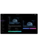 SonoVid.ai Plus, pro, кредиты Месяц На ваш акк