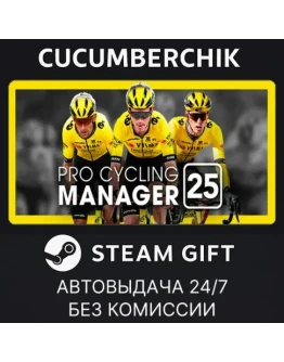 Pro Cycling Manager 25STEAM GIFT AUTORU+МИР