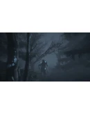 Code Alkonost: Awakening of Evil Steam key/РФ+Весь Мир