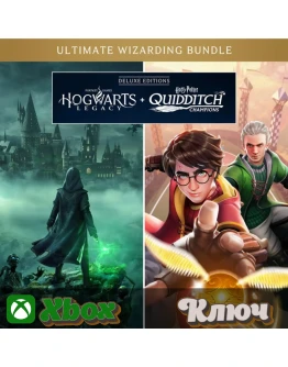 HOGWARTS LEGACY И HARRY POTTER QUIDDITCH CHAMPIONS КЛЮЧ