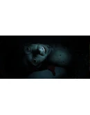 Amber Alert (Steam Gift Россия)