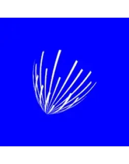 answerthepublic Экспертный кабинет 1 месяц